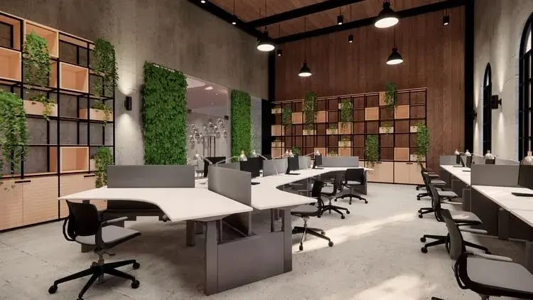 Ofis Modern Ferah Dekorasyon Örneği